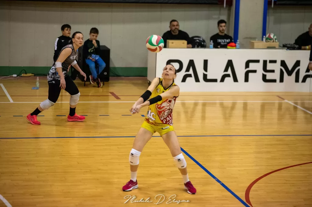 dsc_2601.webp