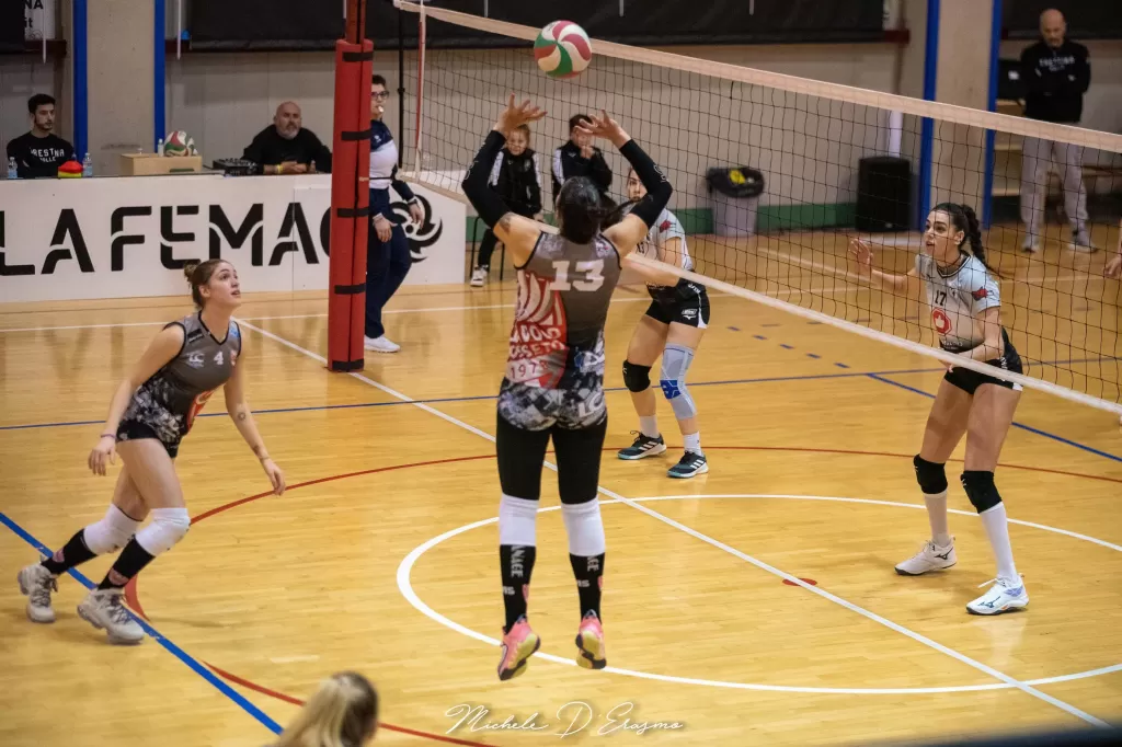 dsc_2625.webp