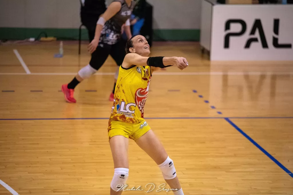dsc_2627.webp