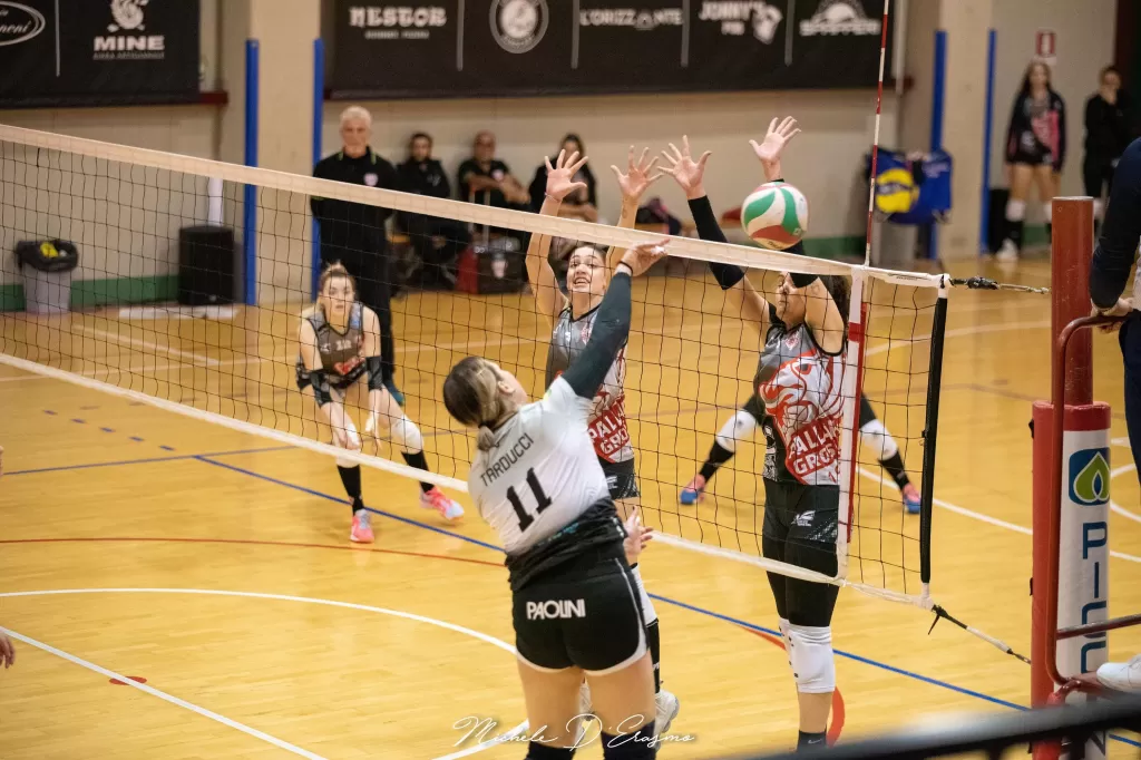 dsc_2687.webp