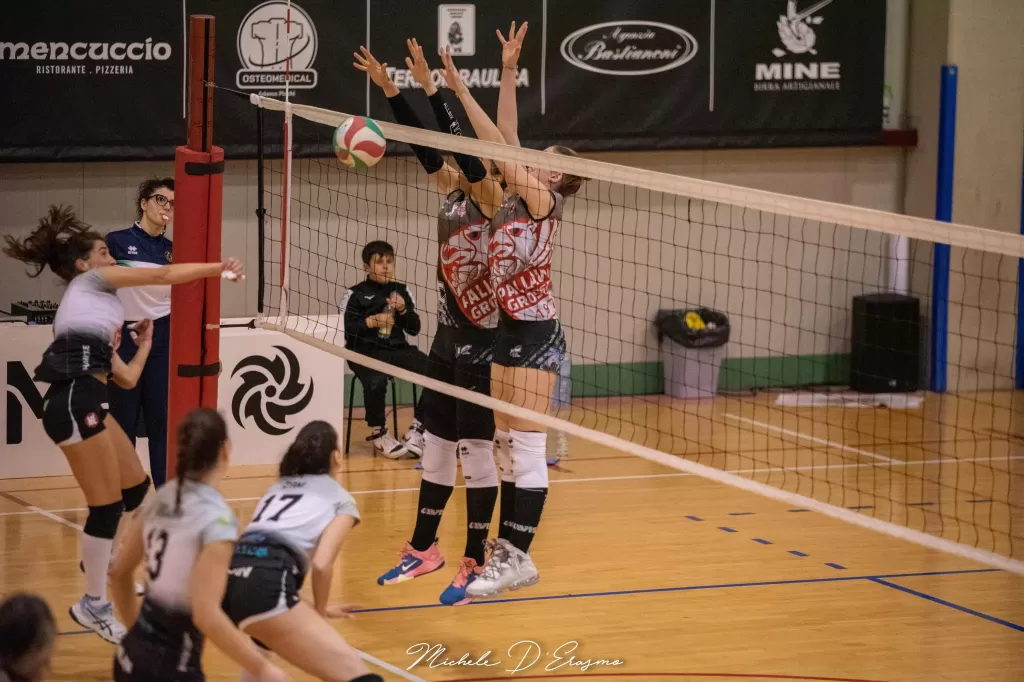 dsc_2711.webp