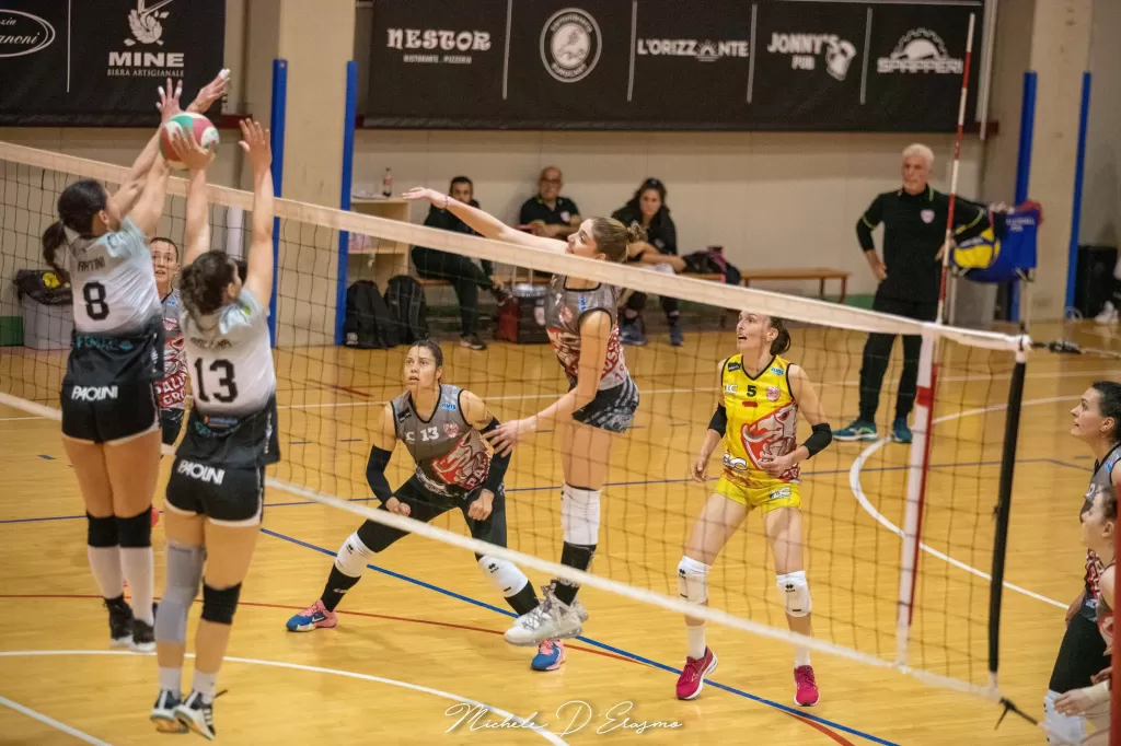 dsc_2733.webp