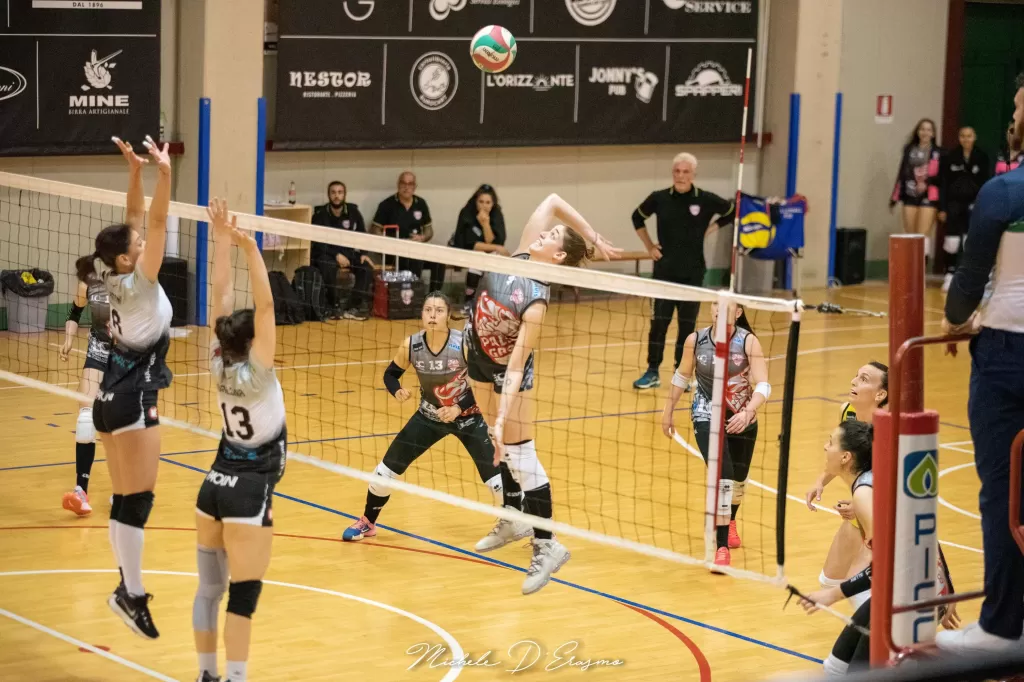 dsc_2754.webp