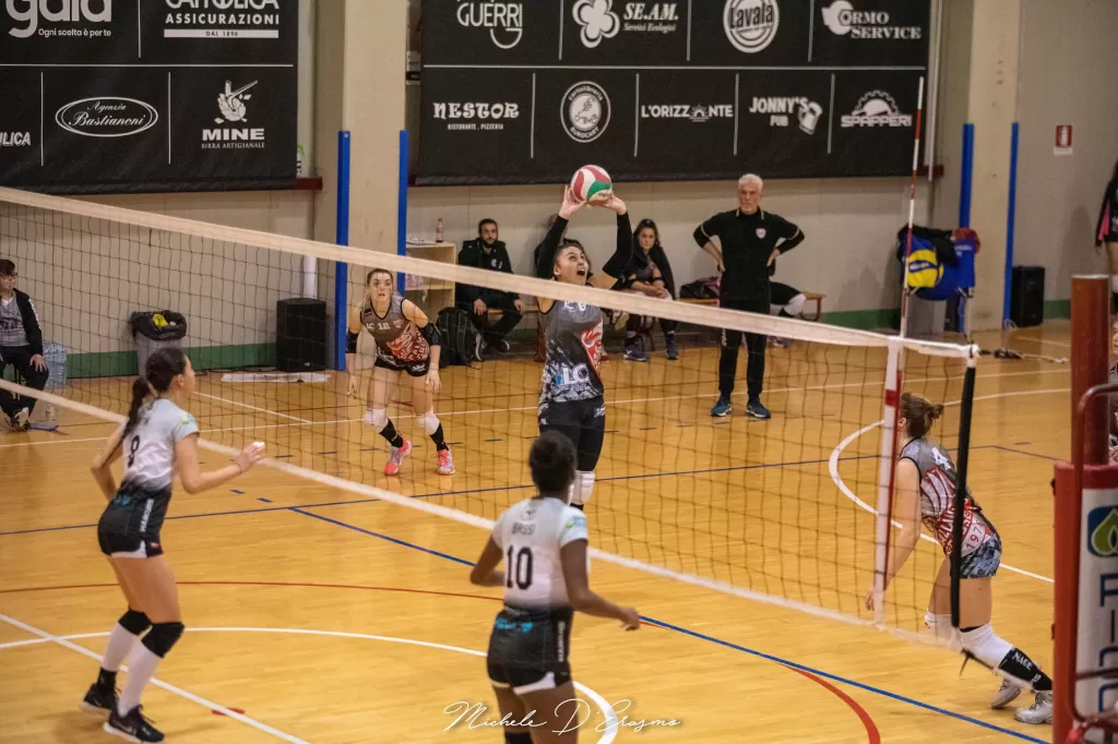 dsc_2802.webp