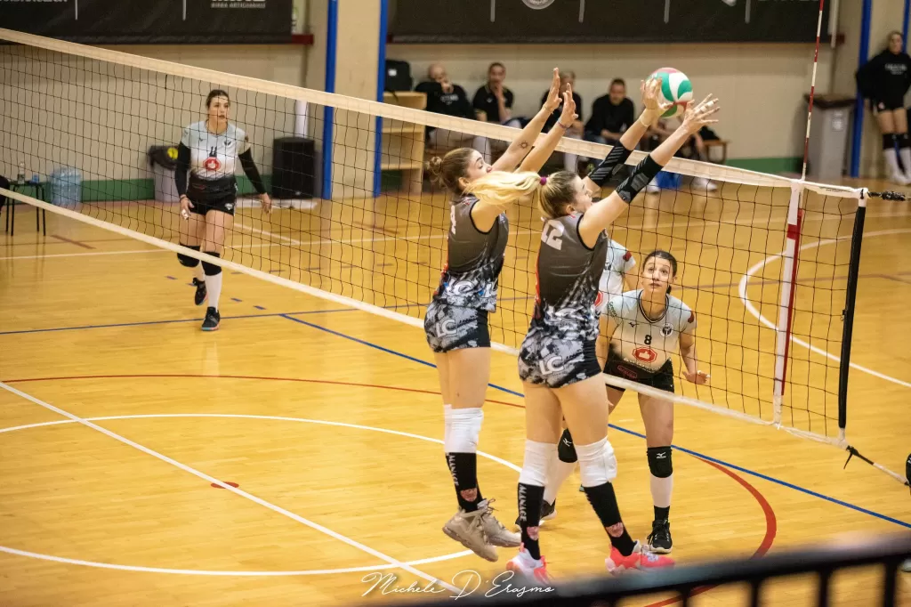 dsc_2841.webp