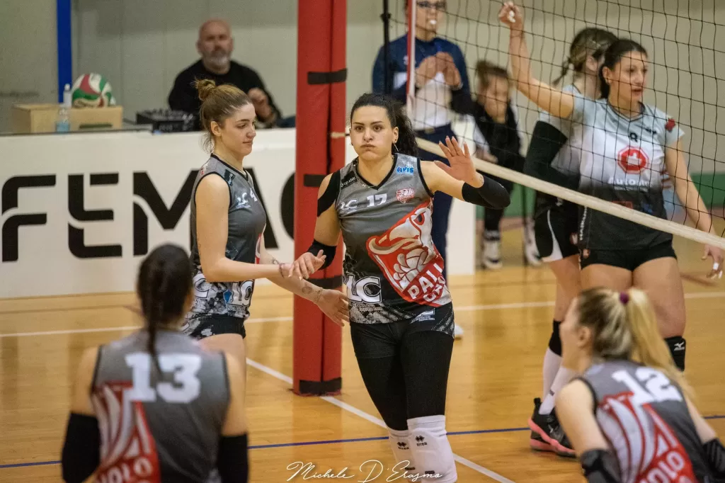 dsc_2849.webp