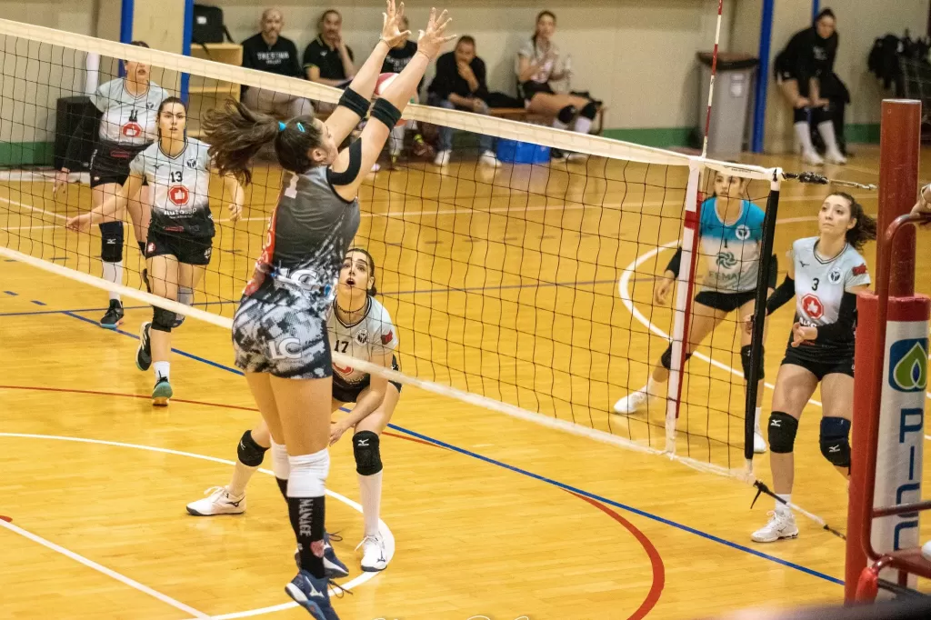 dsc_2875.webp