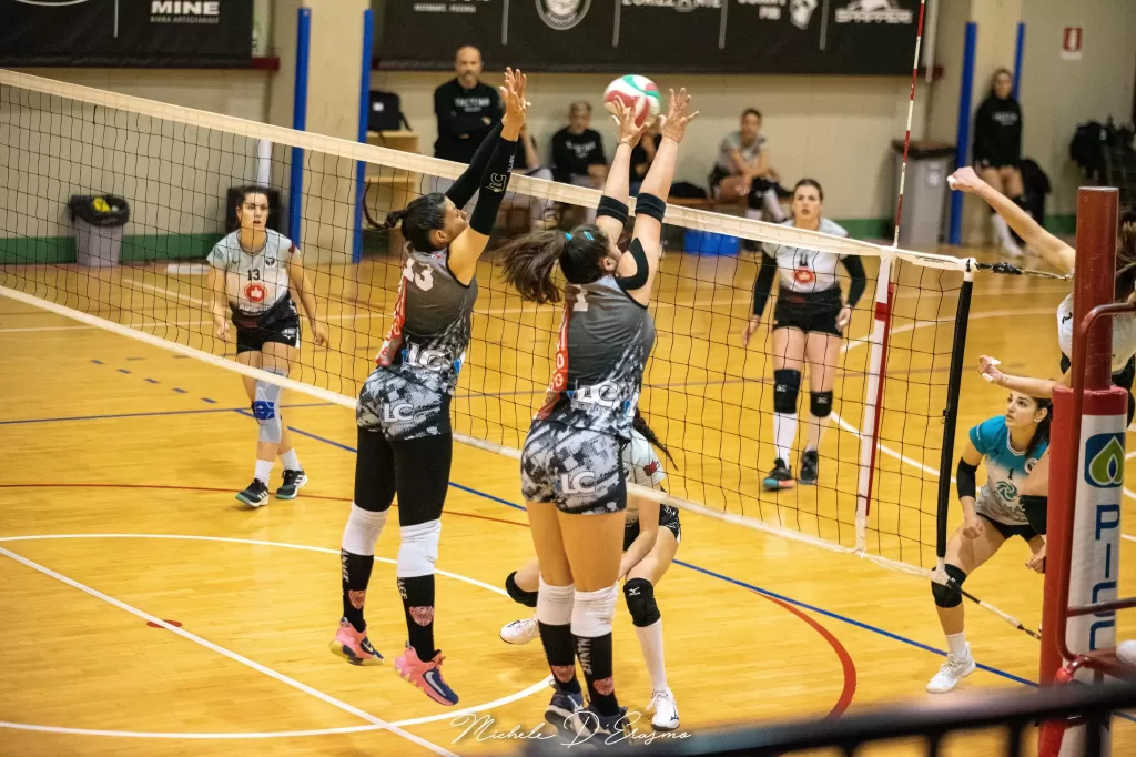 dsc_2884.webp