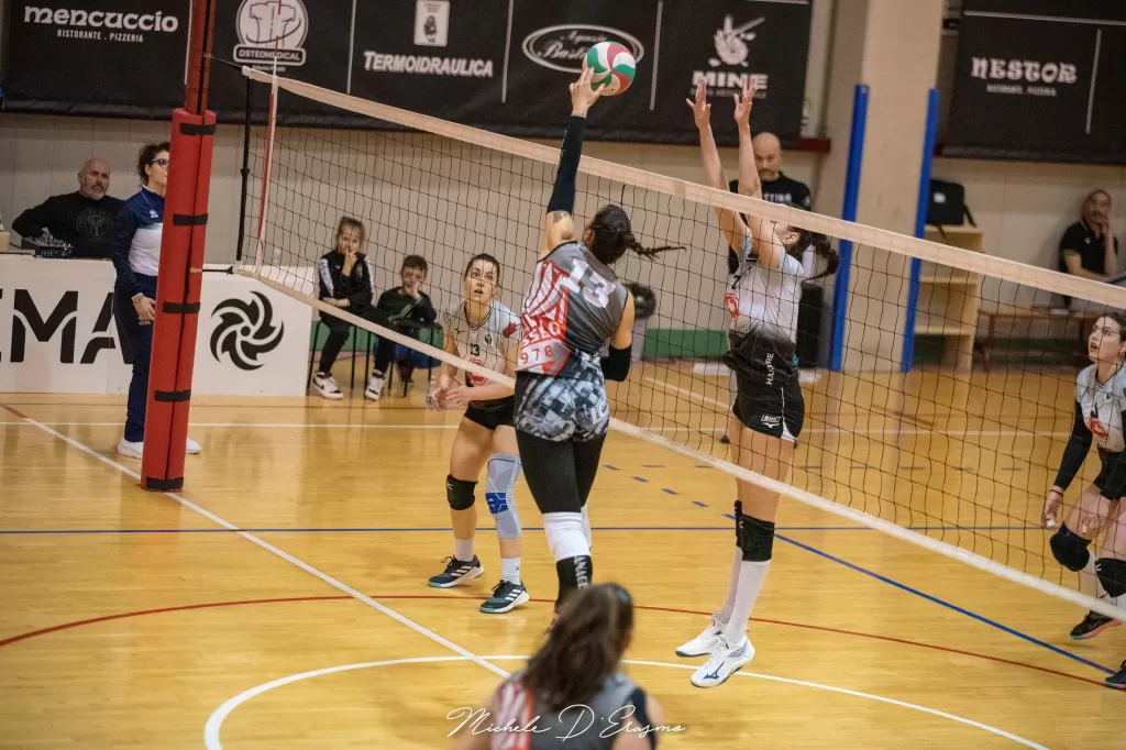 dsc_2888.webp