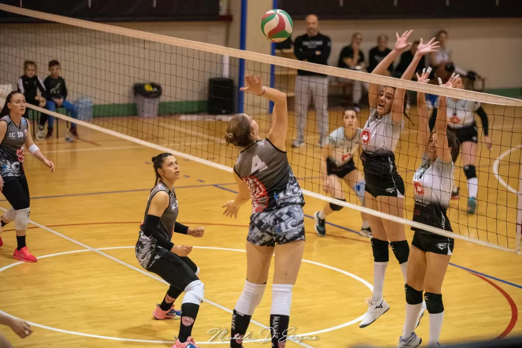 dsc_2895.webp