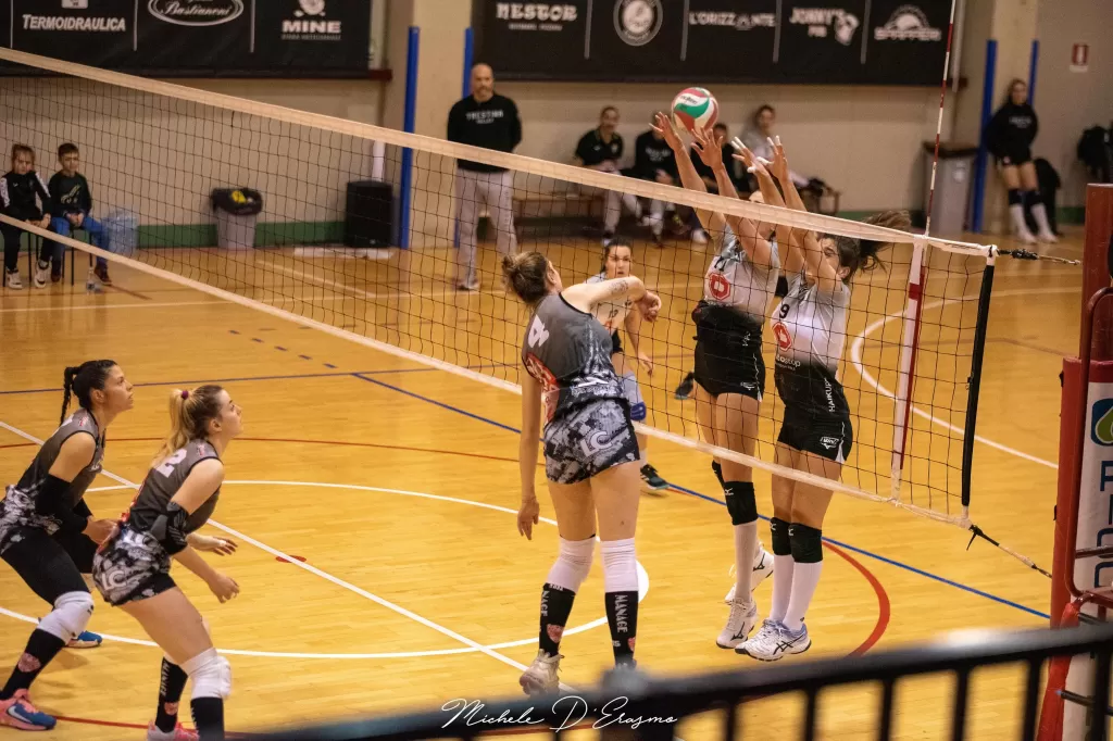 dsc_2899.webp