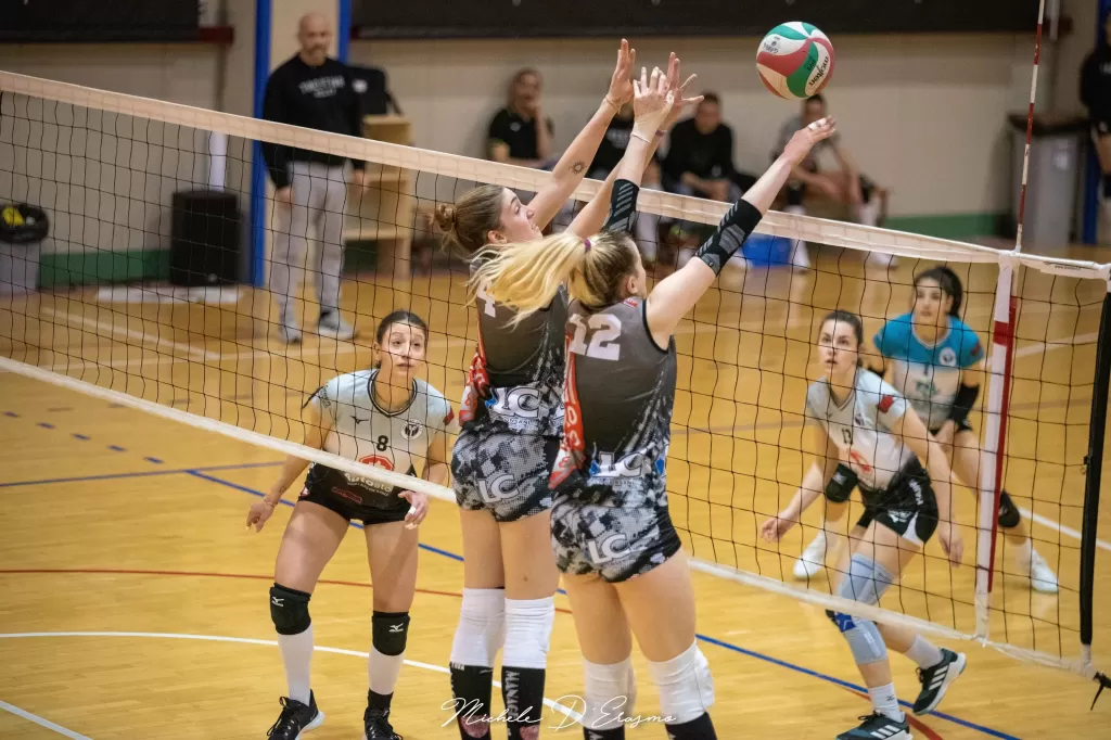 dsc_2920.webp