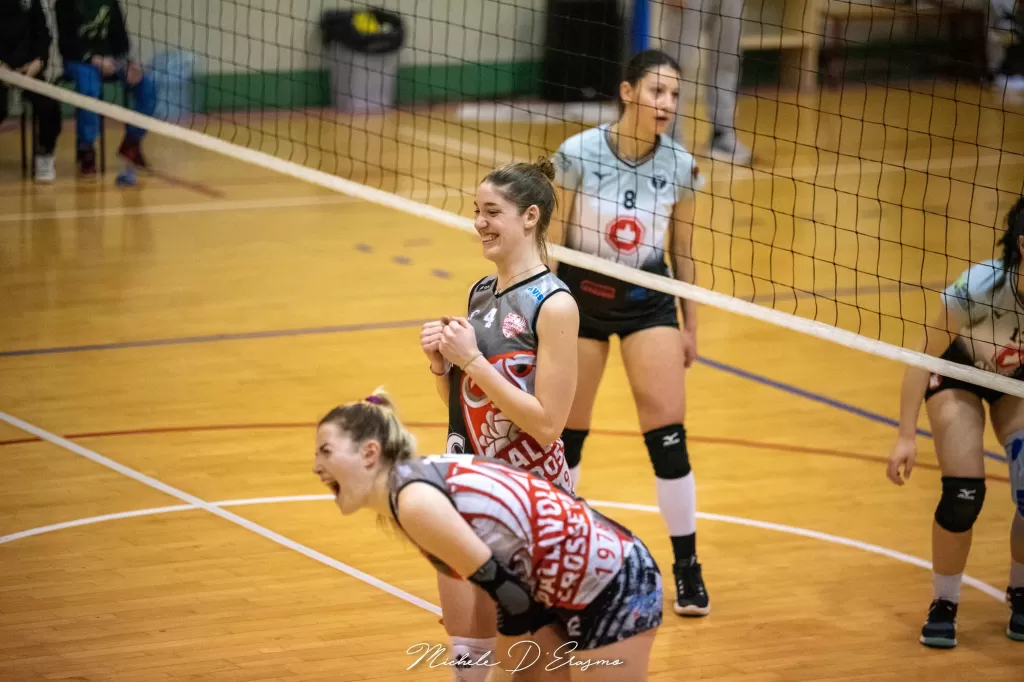 dsc_2923.webp