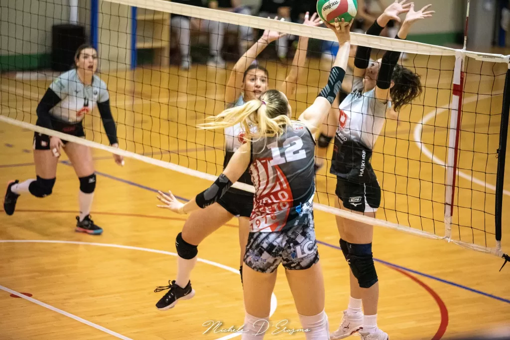 dsc_2930.webp