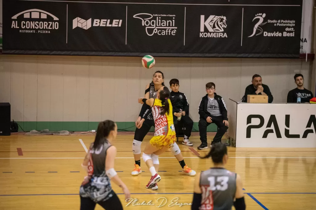 dsc_2938.webp