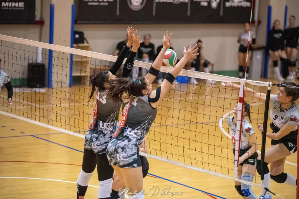 dsc_2945.webp