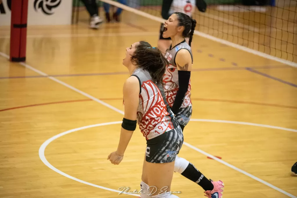 dsc_2951.webp