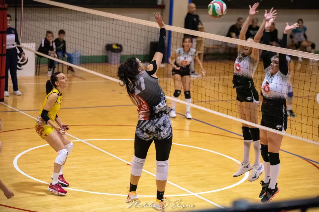 dsc_2962.webp