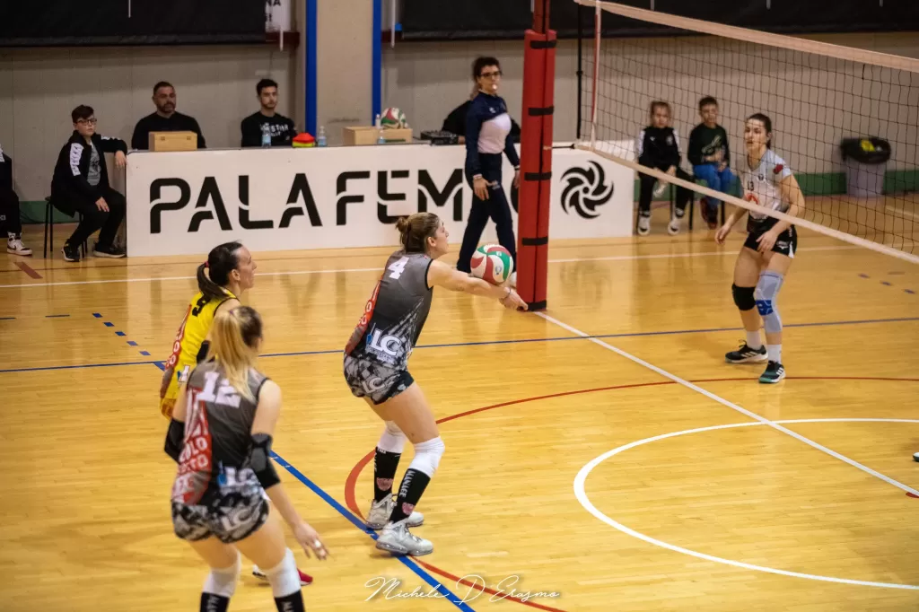 dsc_2971.webp