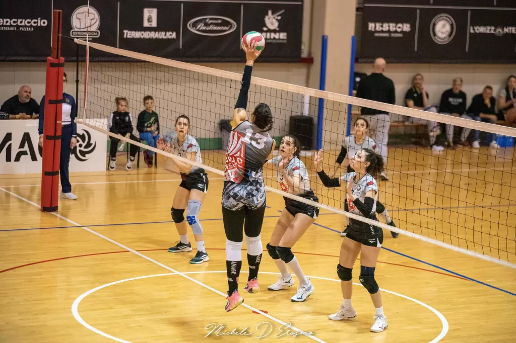 dsc_2972.webp