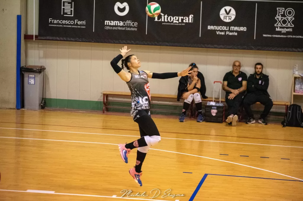 dsc_3007.webp