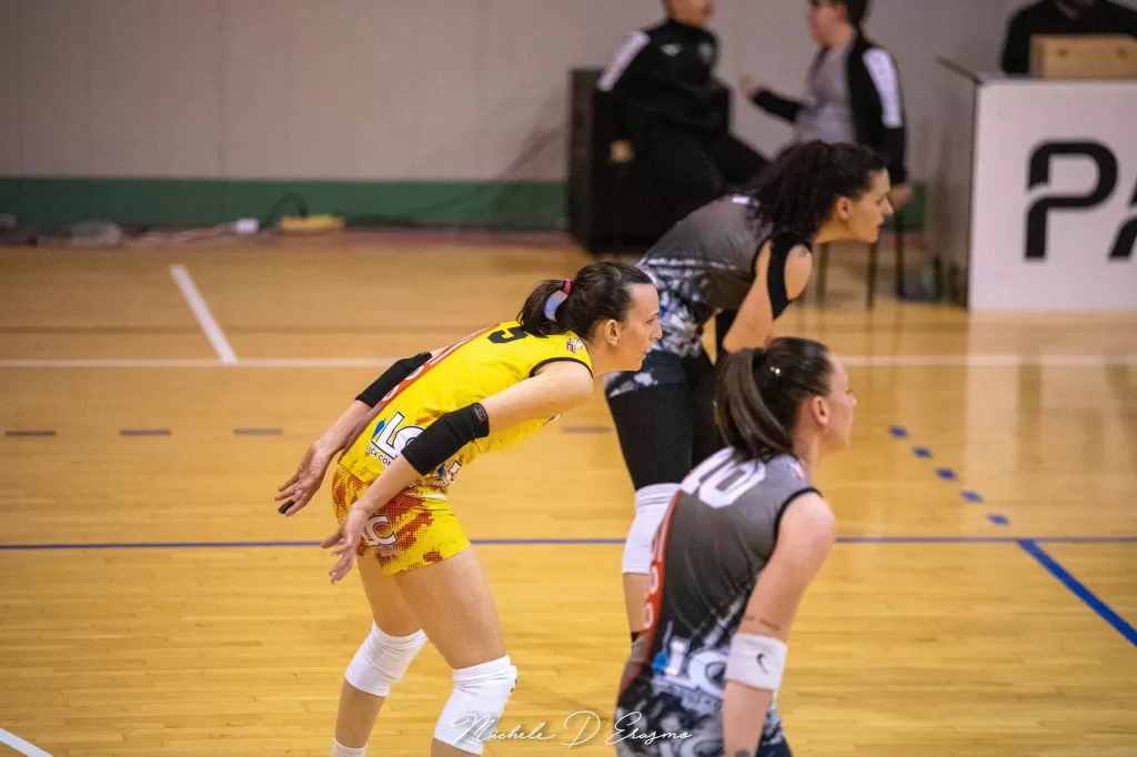 dsc_3066.webp