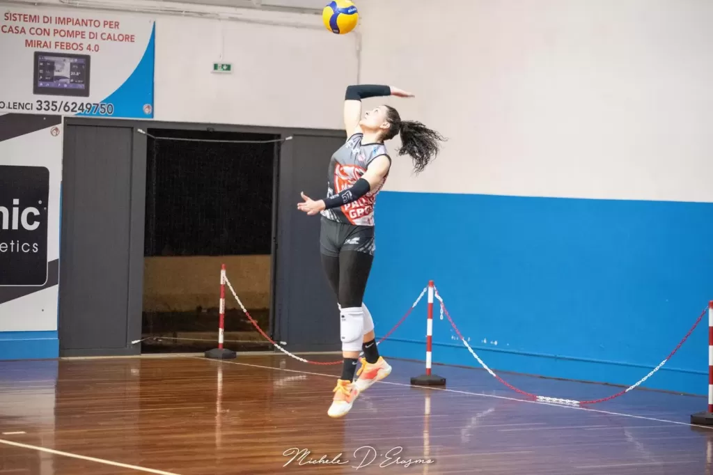 dsc_3413.webp