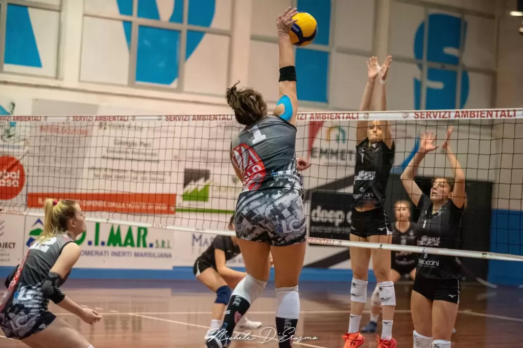 dsc_3562.webp