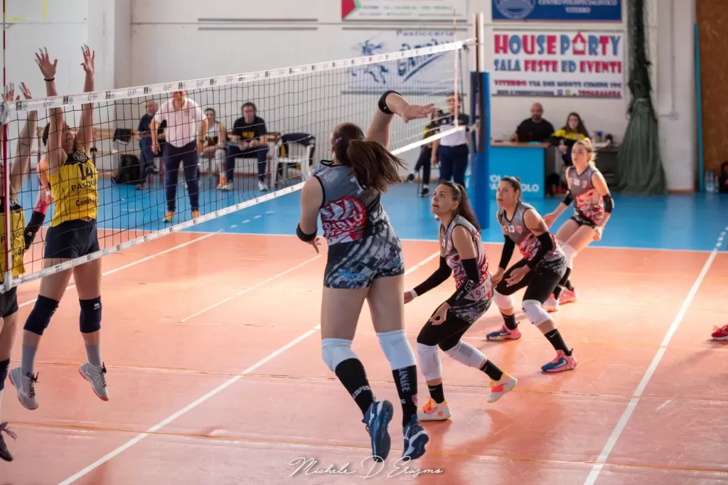 dsc_4976.webp