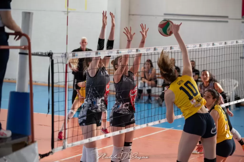 dsc_5116.webp