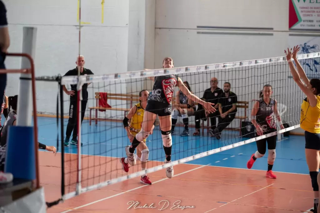 dsc_5139.webp