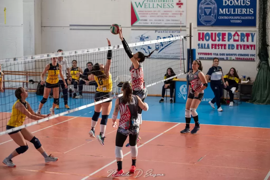 dsc_5157.webp
