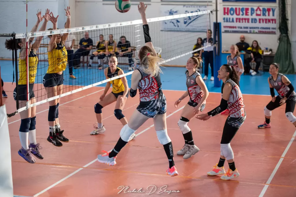 dsc_5263.webp