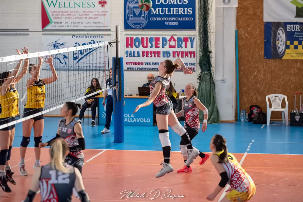 dsc_5264.webp