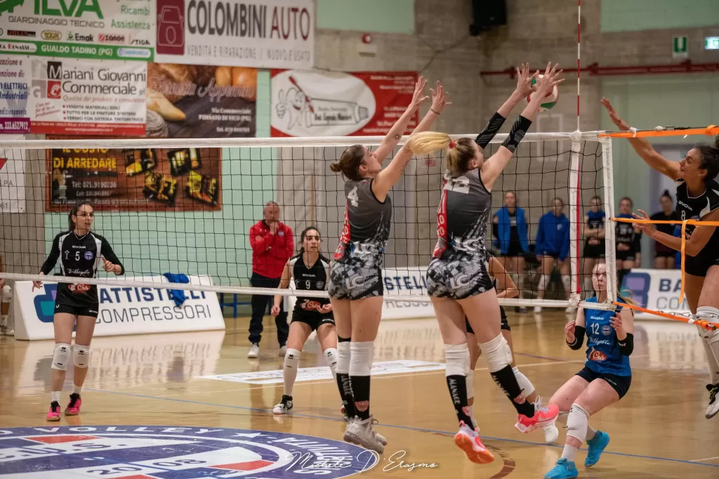 dsc_5361.webp