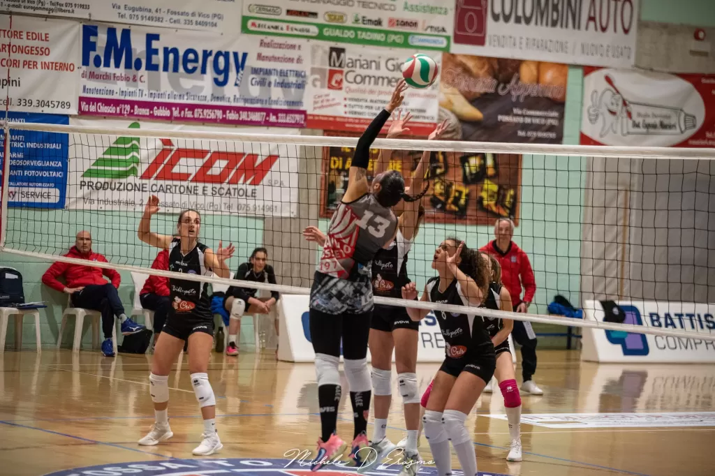 dsc_5440.webp