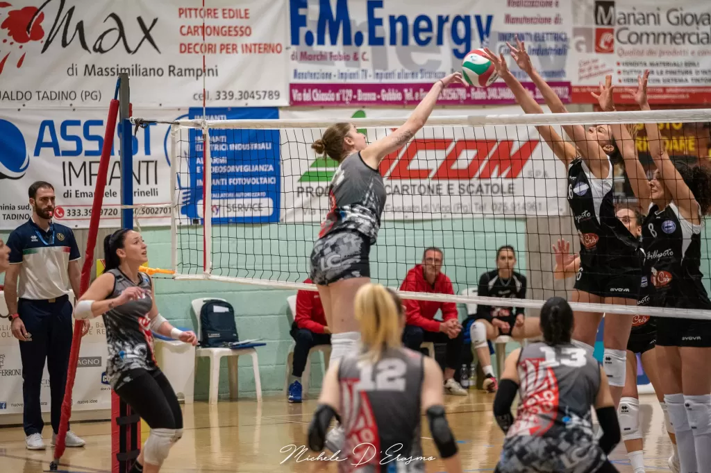 dsc_5456.webp