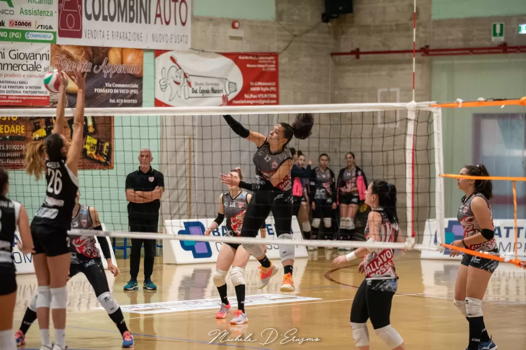 dsc_5501.webp