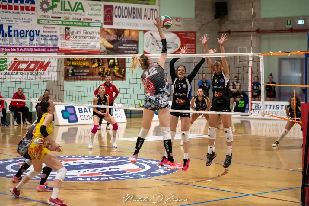 dsc_5528.webp