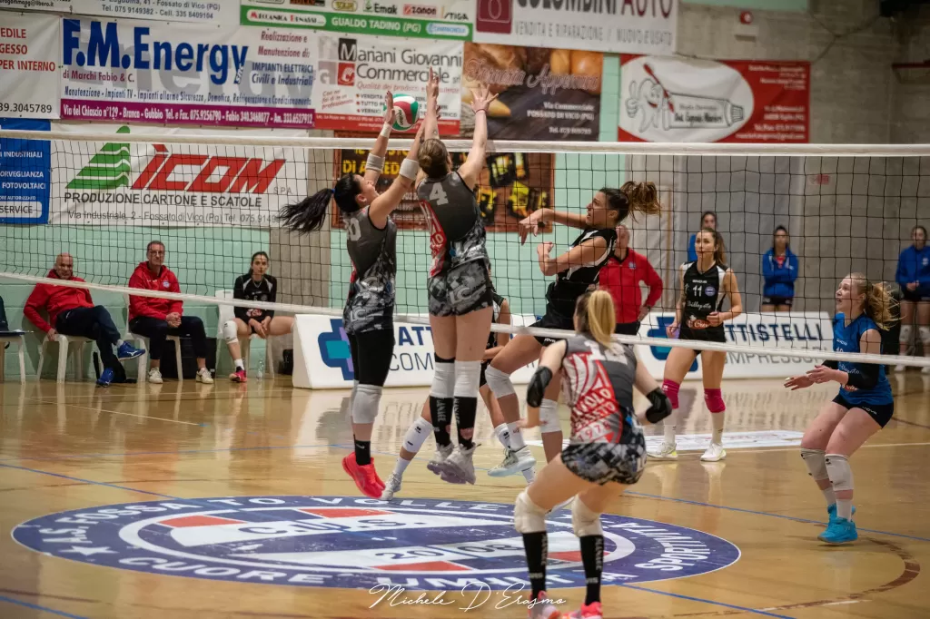 dsc_5601.webp