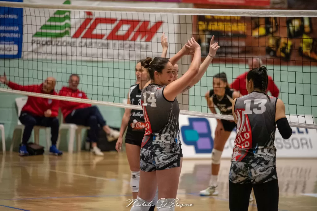 dsc_5693.webp