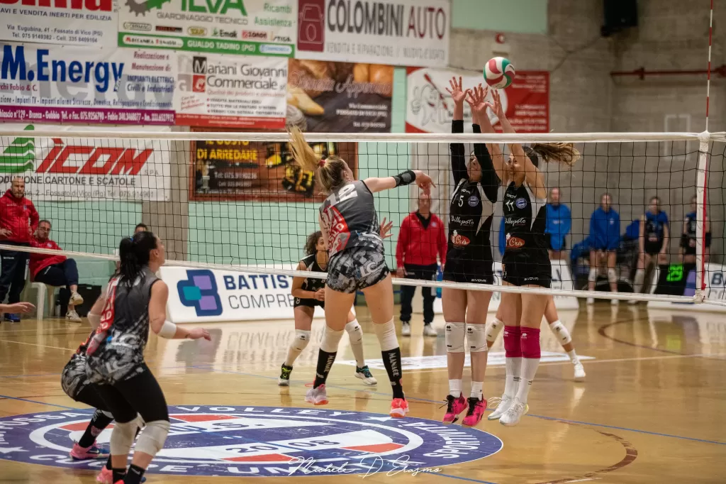 dsc_5826.webp