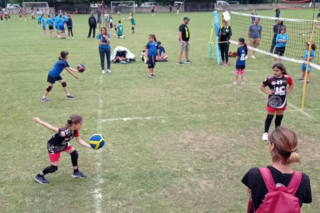 1685908069025.webp