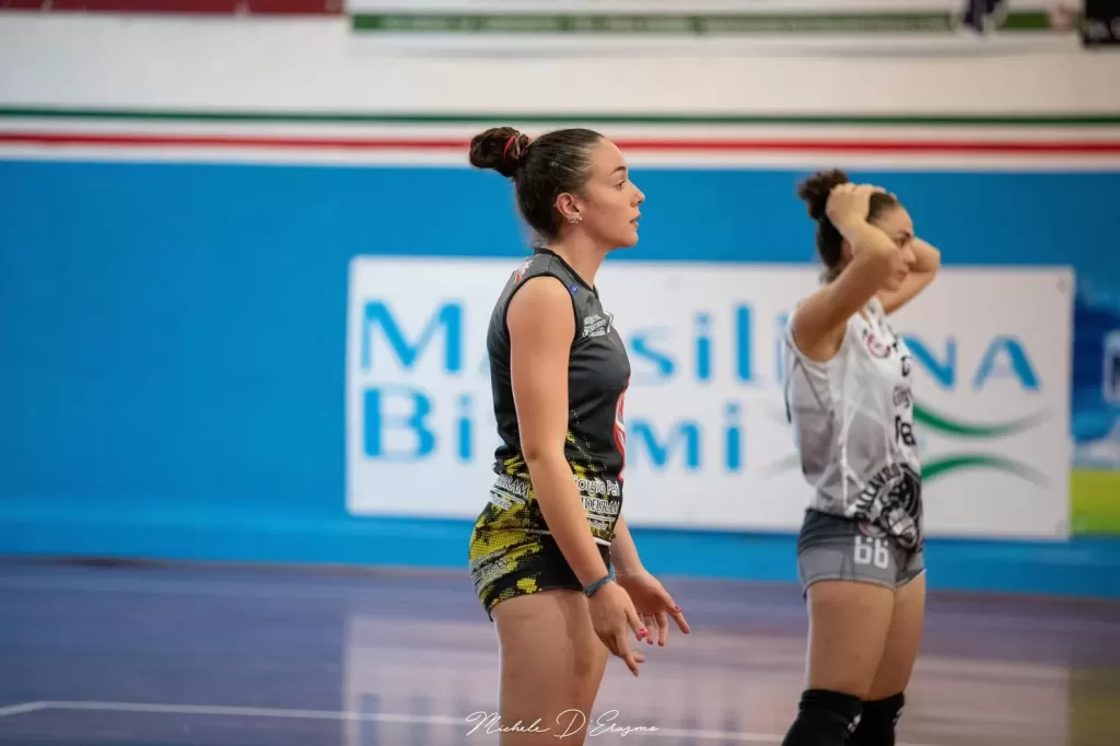 dsc_6246.webp
