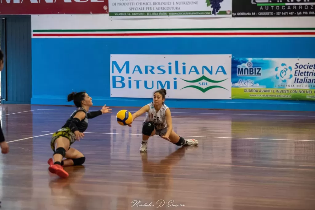 dsc_6308.webp