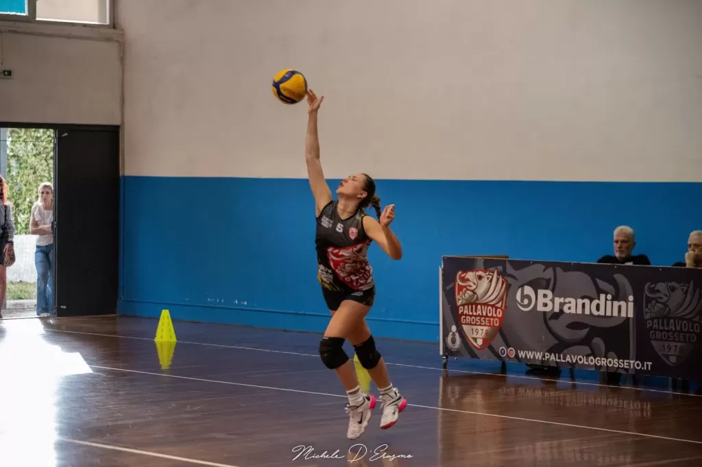 dsc_6341.webp