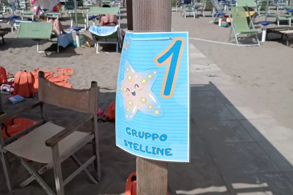 347284778_738687974923515_7852383707225157166_n.webp