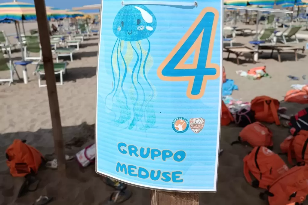 347413231_738687494923563_6515410184853610420_n.webp