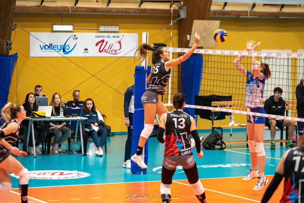dsc_0907.webp