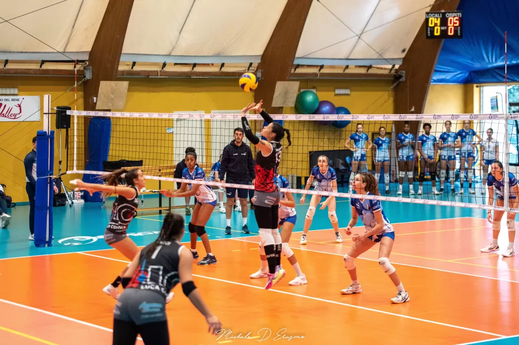 dsc_0908.webp